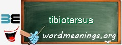 WordMeaning blackboard for tibiotarsus